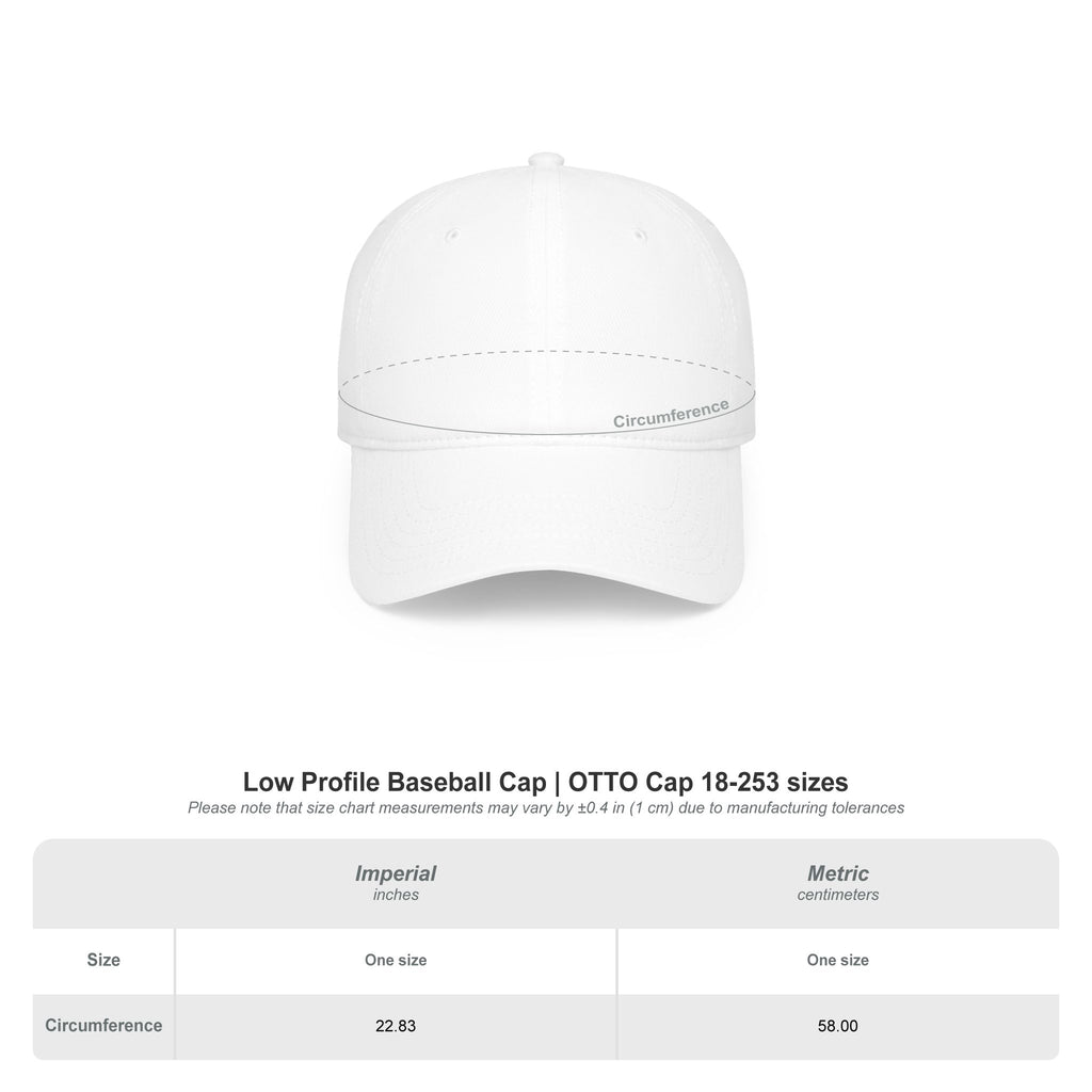 Stay Hot* | *don’t be ugly | black with white embroidery | Dad Hat